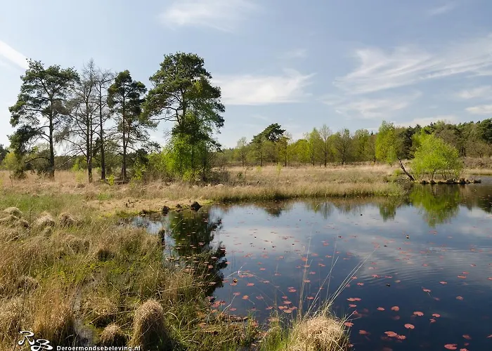  Roermondse Beleving